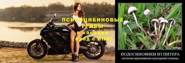 дурь Вяземский