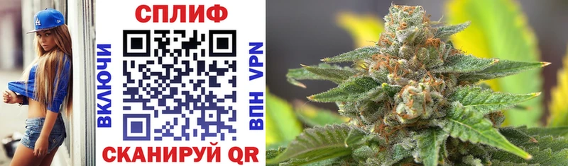 Бошки Шишки THC 21%  Купить где  Нерехта 
